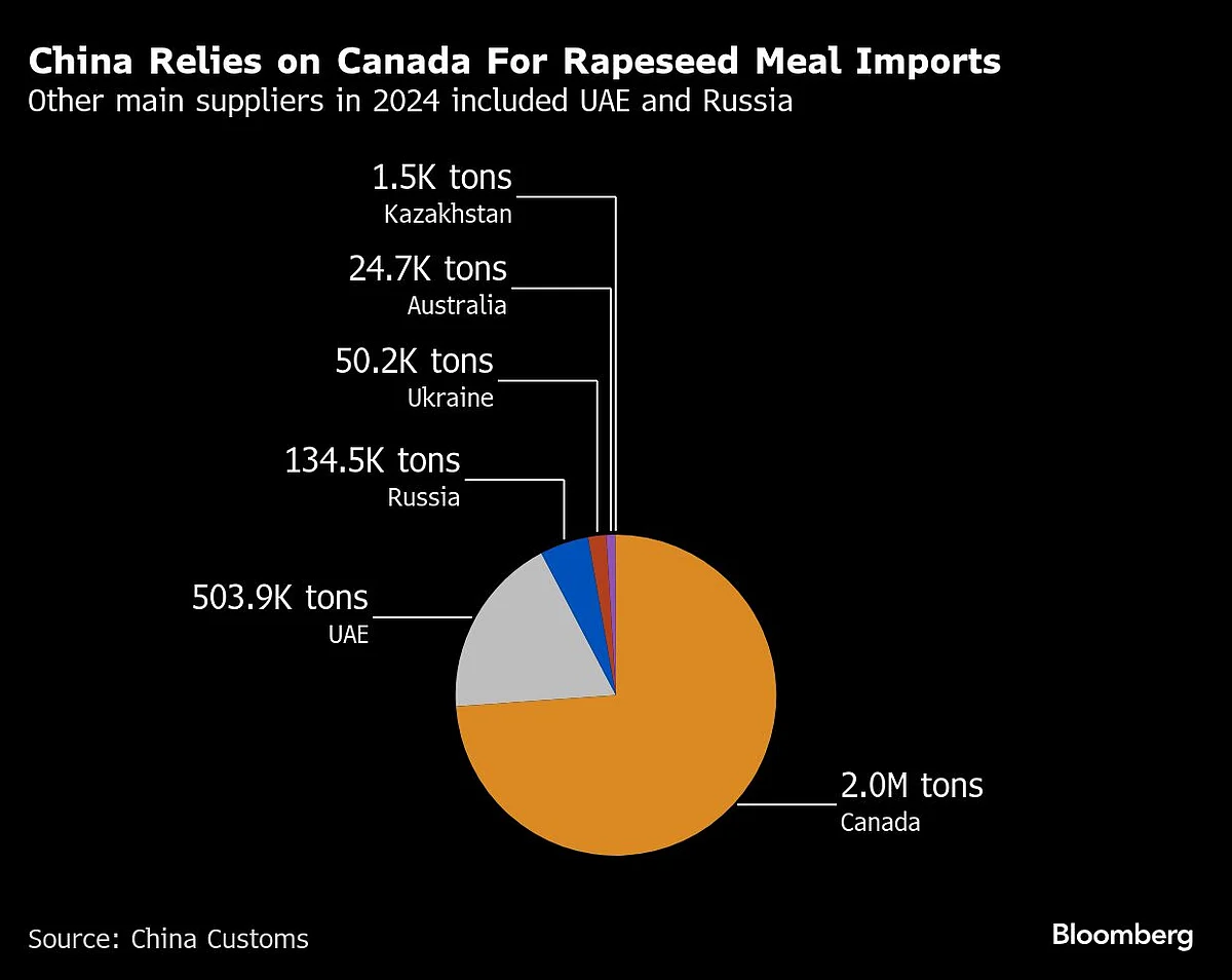 Charting The Global Economy: US Tariffs Wallop Markets, Outlook