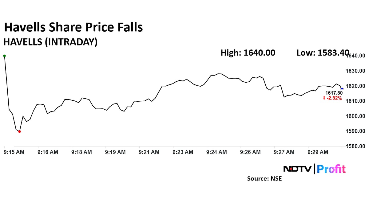 Havells India Q4 Review: Brokerages Split On Valuations Despite Earnings Beat