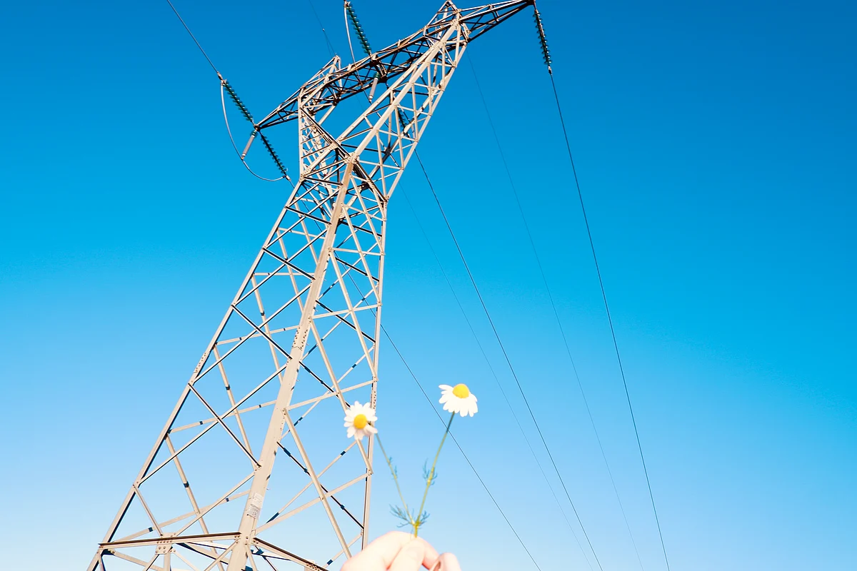 Torrent Power Q4 Results: Profit Jumps Over Twofold, Dividend Of Rs 5