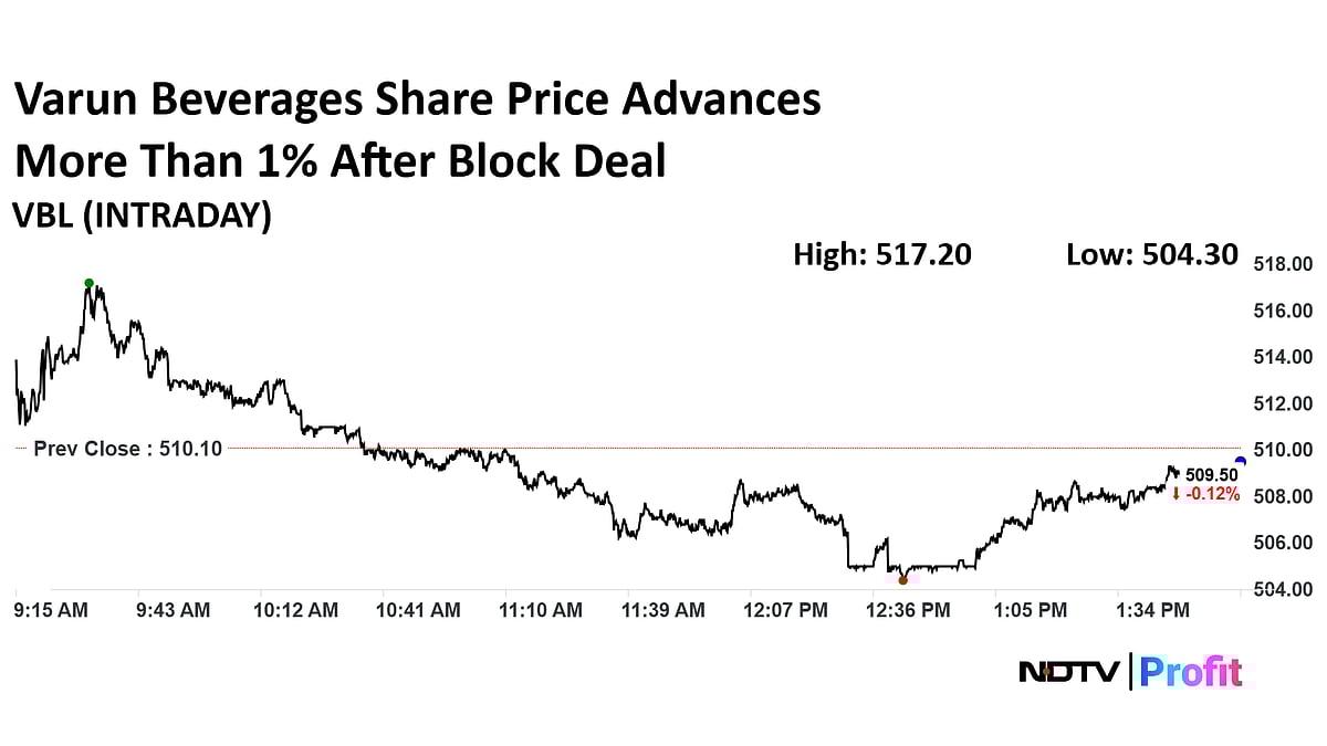 Varun Beverages Share Price Rises After Block Deals