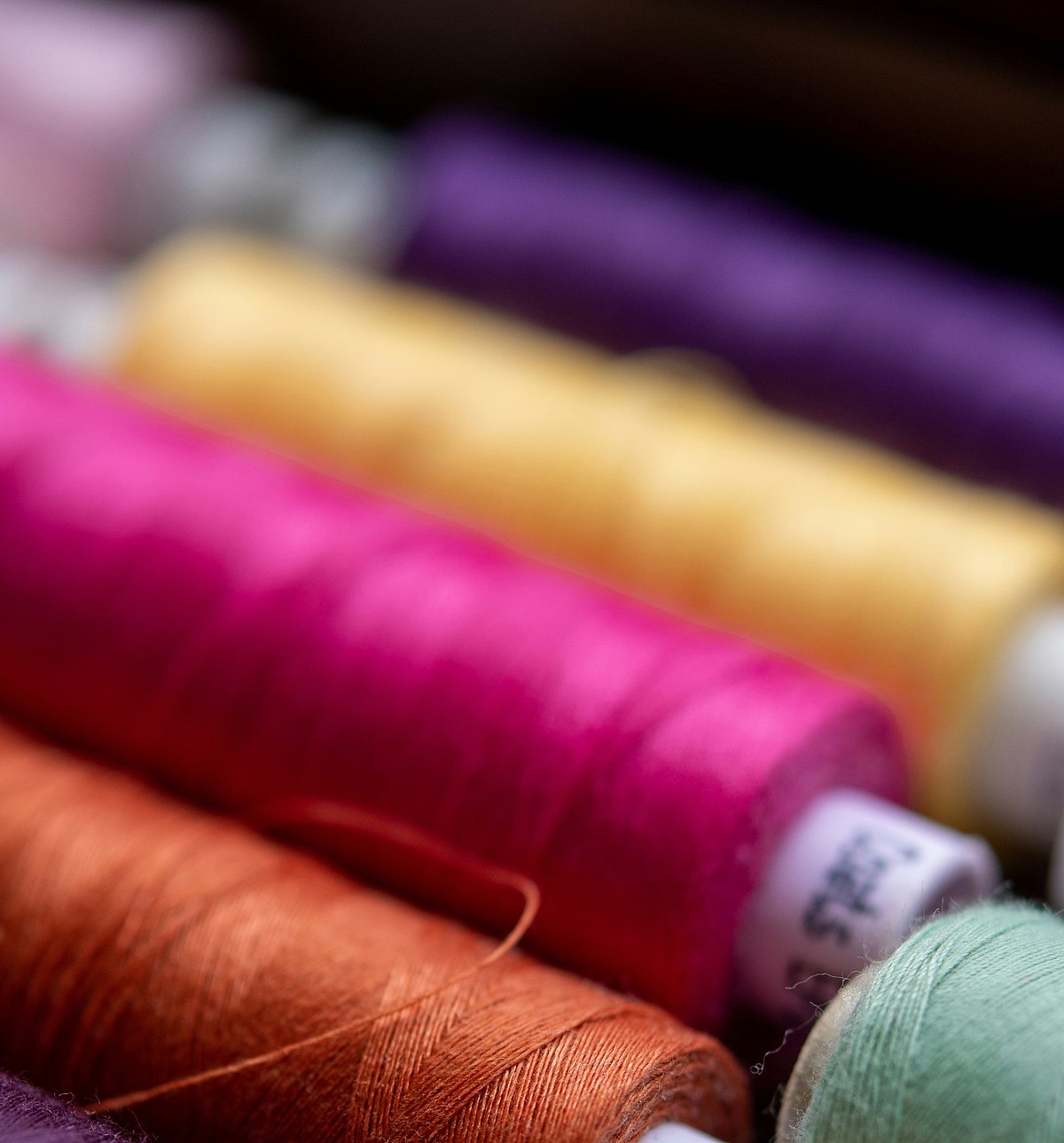 <div class="paragraphs"><p>Borana Weaves' Rs 144.89 crore IPO comprises only of fresh issue with no offer-for-sale component.<em>&nbsp;</em>(Photo Source: Bozhin-Karaivanov/ Unsplash)</p></div>