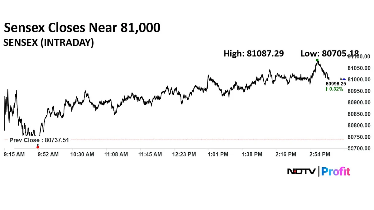 Stock Market Highlights: Sensex Gains 260 Points, Nifty Closes Above 24,600 On Positive Global Cue