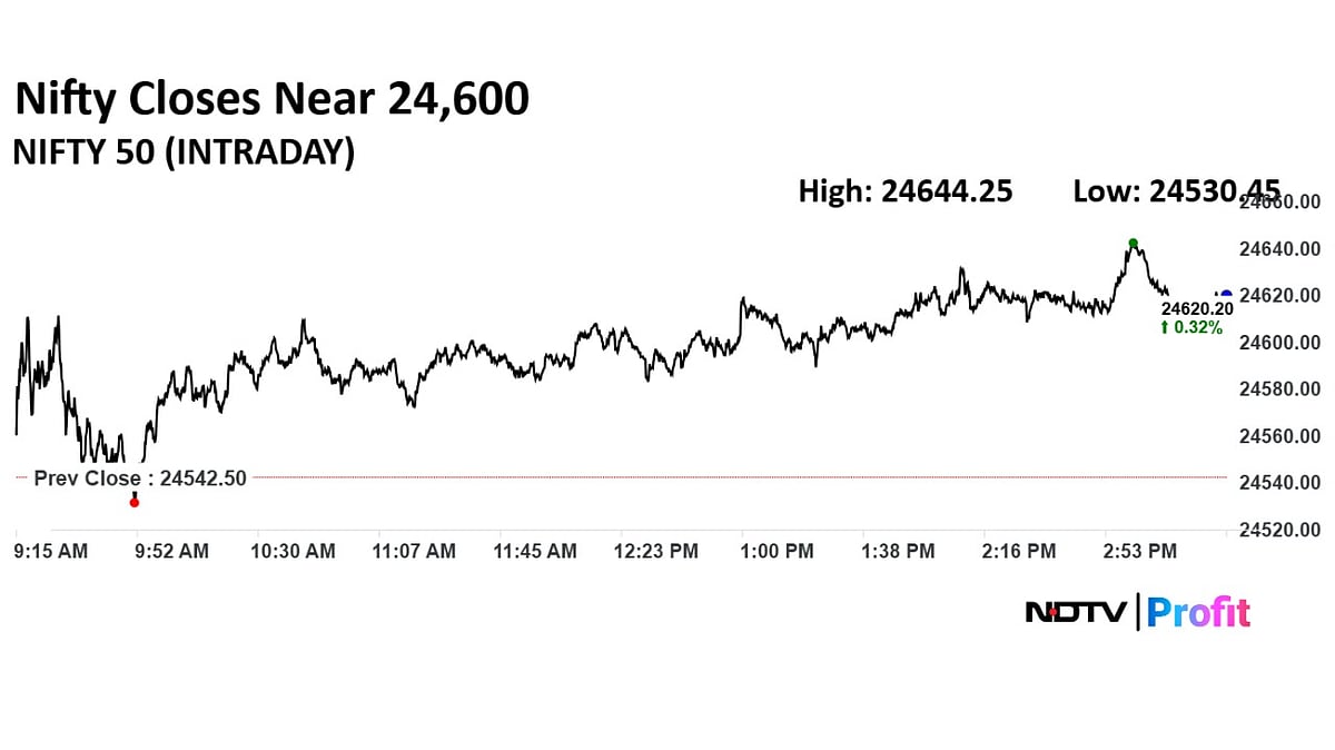 Stock Market Highlights: Sensex Gains 260 Points, Nifty Closes Above 24,600 On Positive Global Cue
