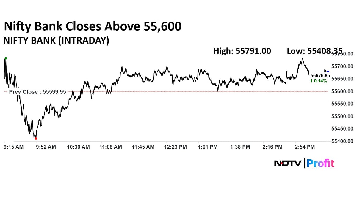 Stock Market Highlights: Sensex Gains 260 Points, Nifty Closes Above 24,600 On Positive Global Cue