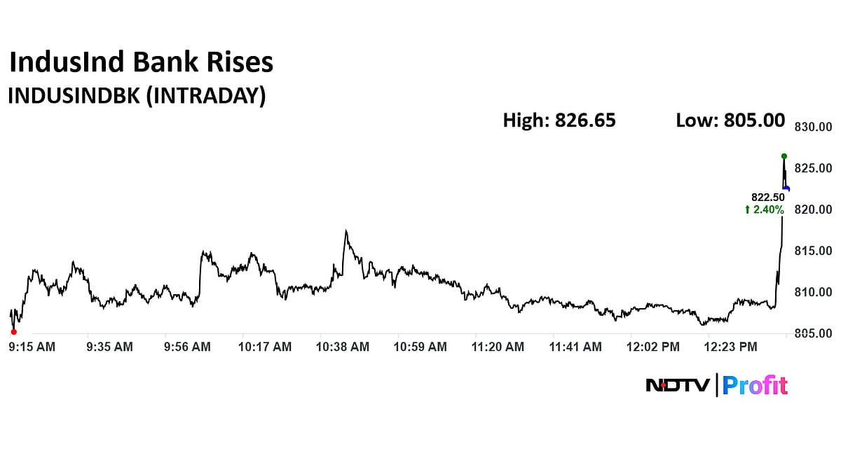 IndusInd Bank Share Price Rises After RBI Governor's Comment On Issues