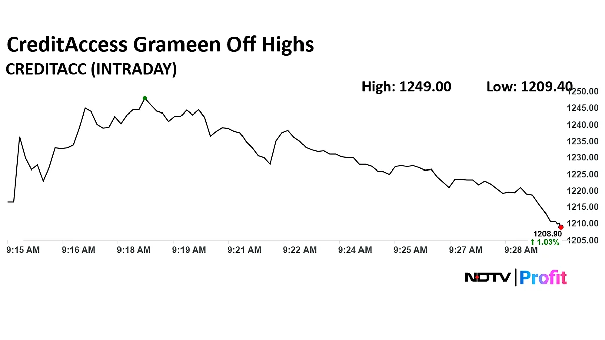 CreditAccess Grameen Share Price Rises After Securing $100-Million Foreign-Currency Loan