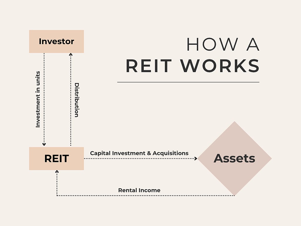 <div class="paragraphs"><p>How a REIT works. (Photo source: NDTV Profit)</p></div>