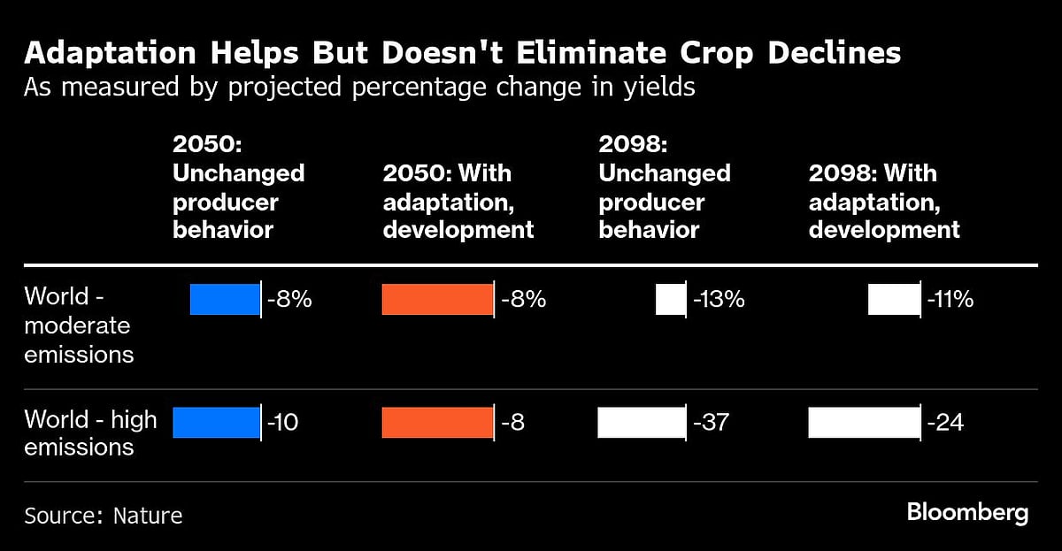 Why Rice Is Poised To Survive Better In A Warming World