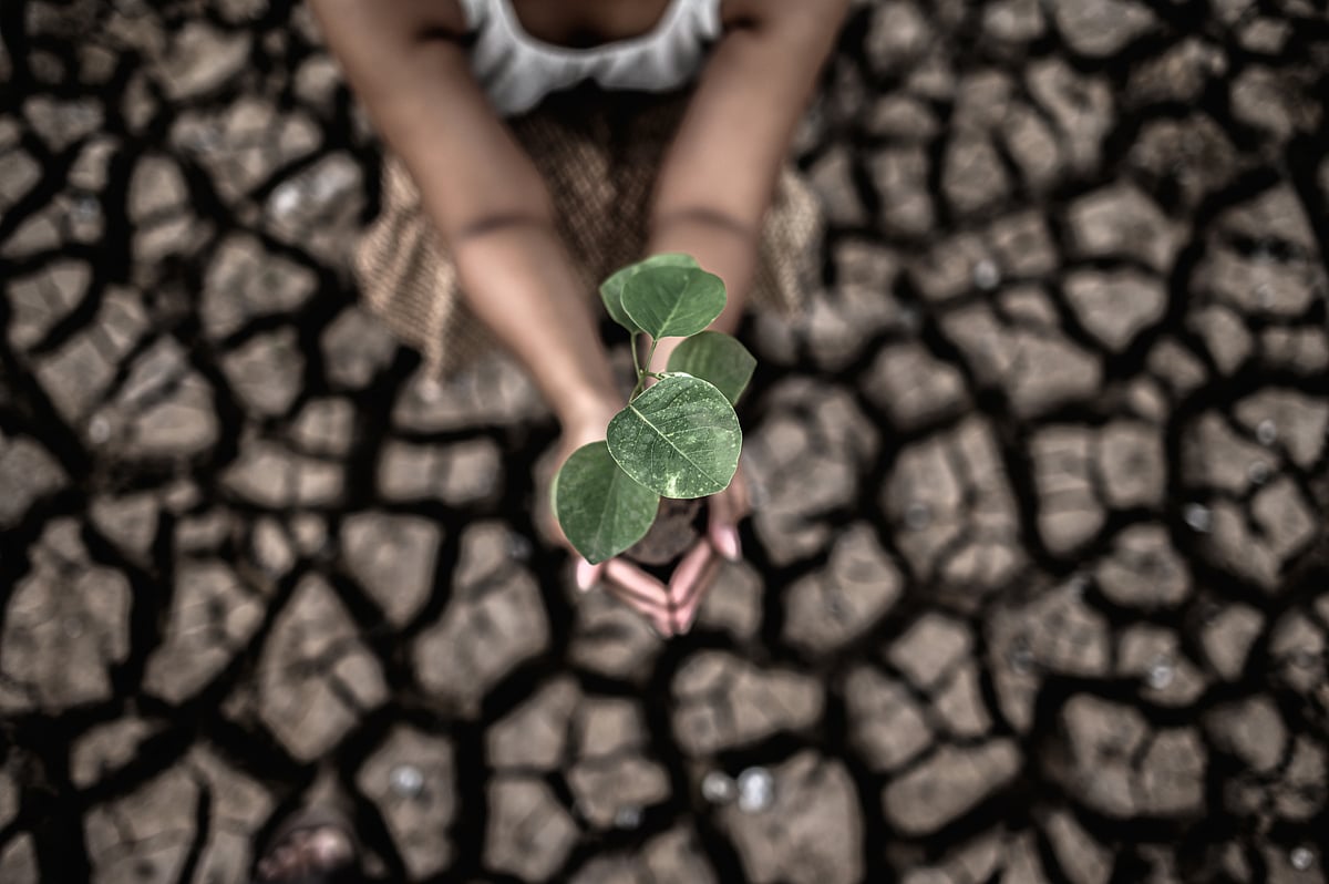 Heatwave Triggers Insurance Payouts: How Parametric Insurance Provides Respite To India's Climate Woes