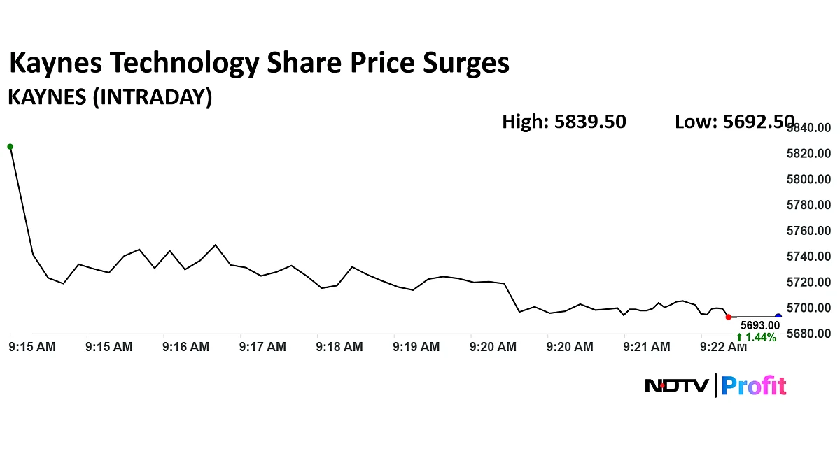 Kaynes Technology Share Price Rises After Launch Of QIP Issue