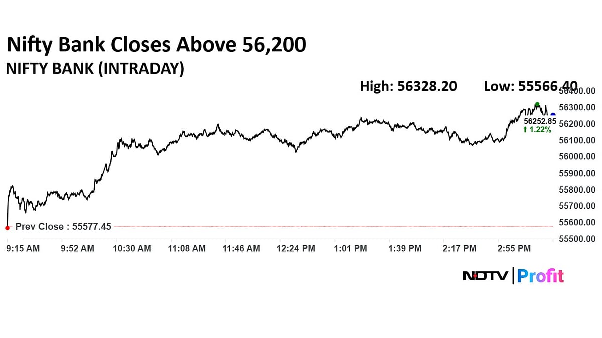 Stock Market Highlights: Nifty, Sensex Clock Best Weekly Returns In Nearly Two Months