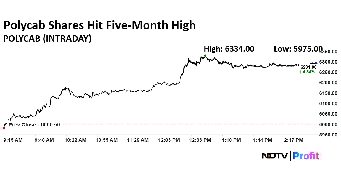 Polycab Shares Hit Five-Month High After Jefferies Hikes Target Price