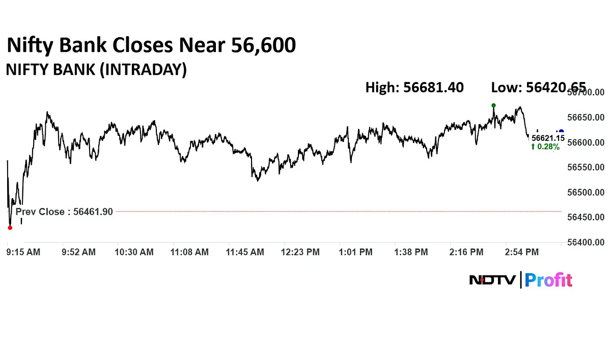 Stock Market Highlights: Nifty, Sensex Continue Winning Streak; End Nearly 1% Higher
