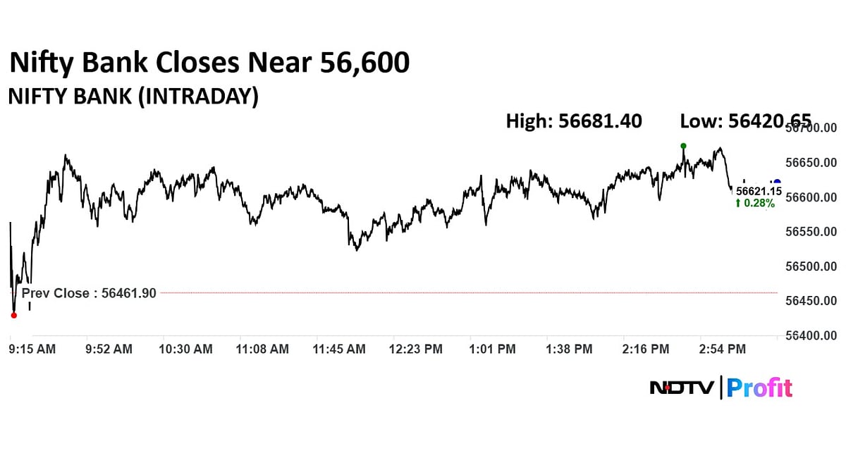 Stock Market Highlights: Nifty, Sensex Continue Winning Streak; End Nearly 1% Higher