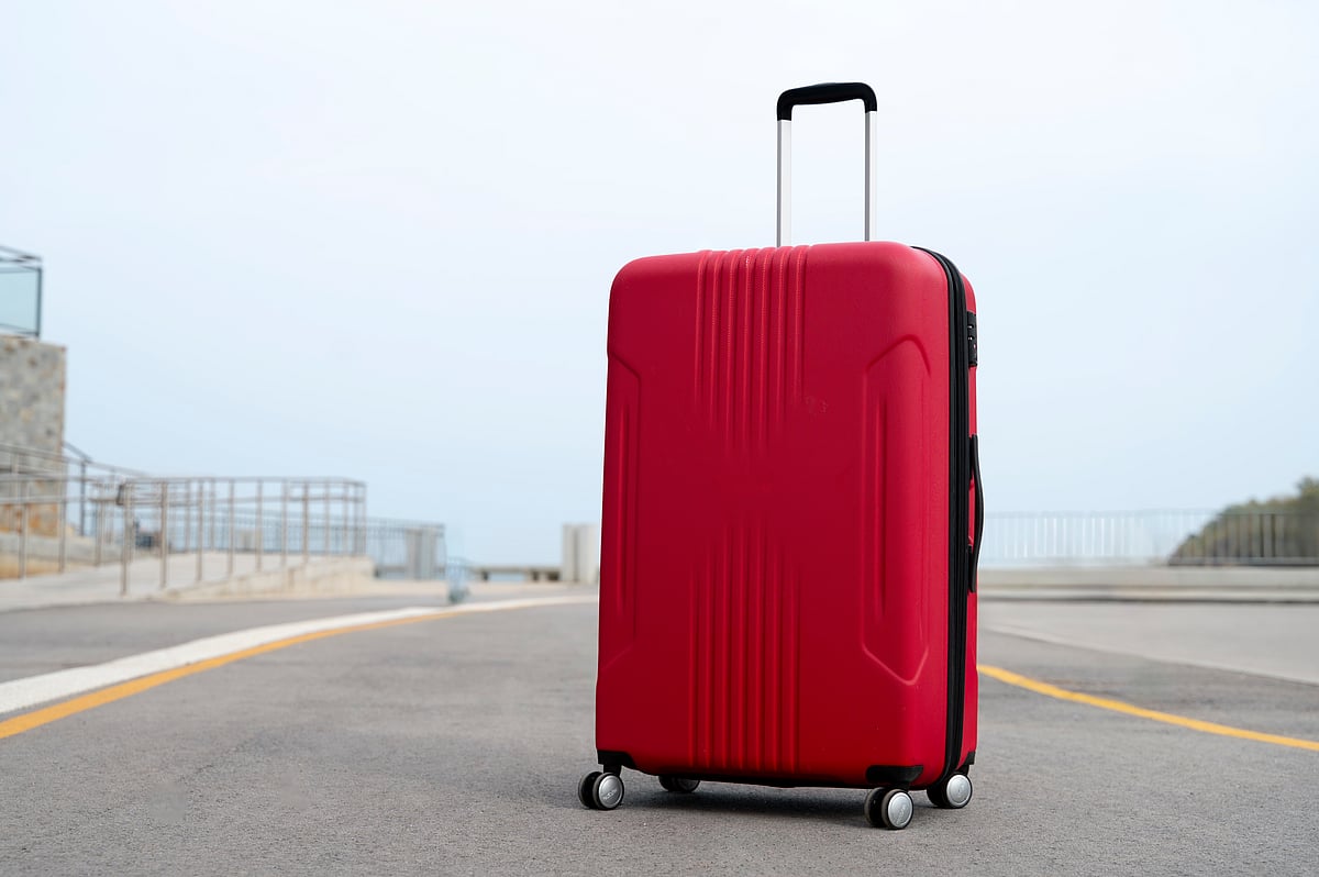 VIP Industries Bulk Deal: Promoters Offload Stake Worth Rs 343 Crore