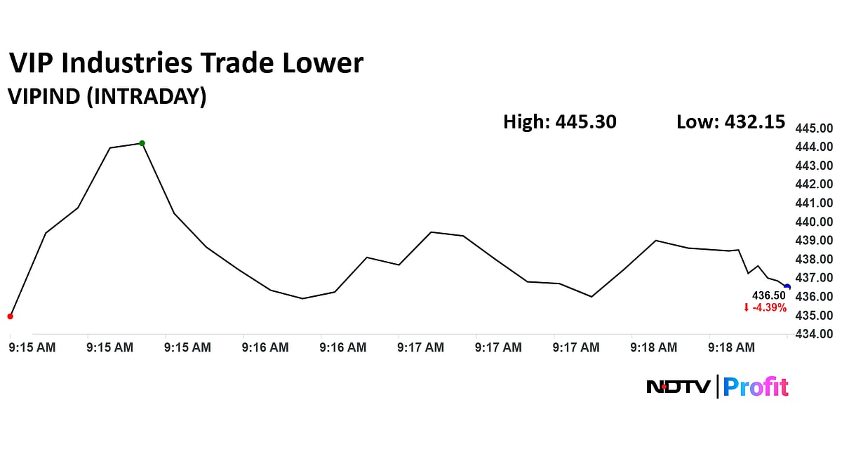 VIP Industries Share Price Fall Over 5% After Promoter Group Entities Plan Stake Sale