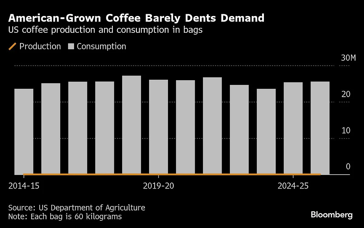 Trump Tariffs Spell Trouble For Hawaii’s Few Coffee Farmers