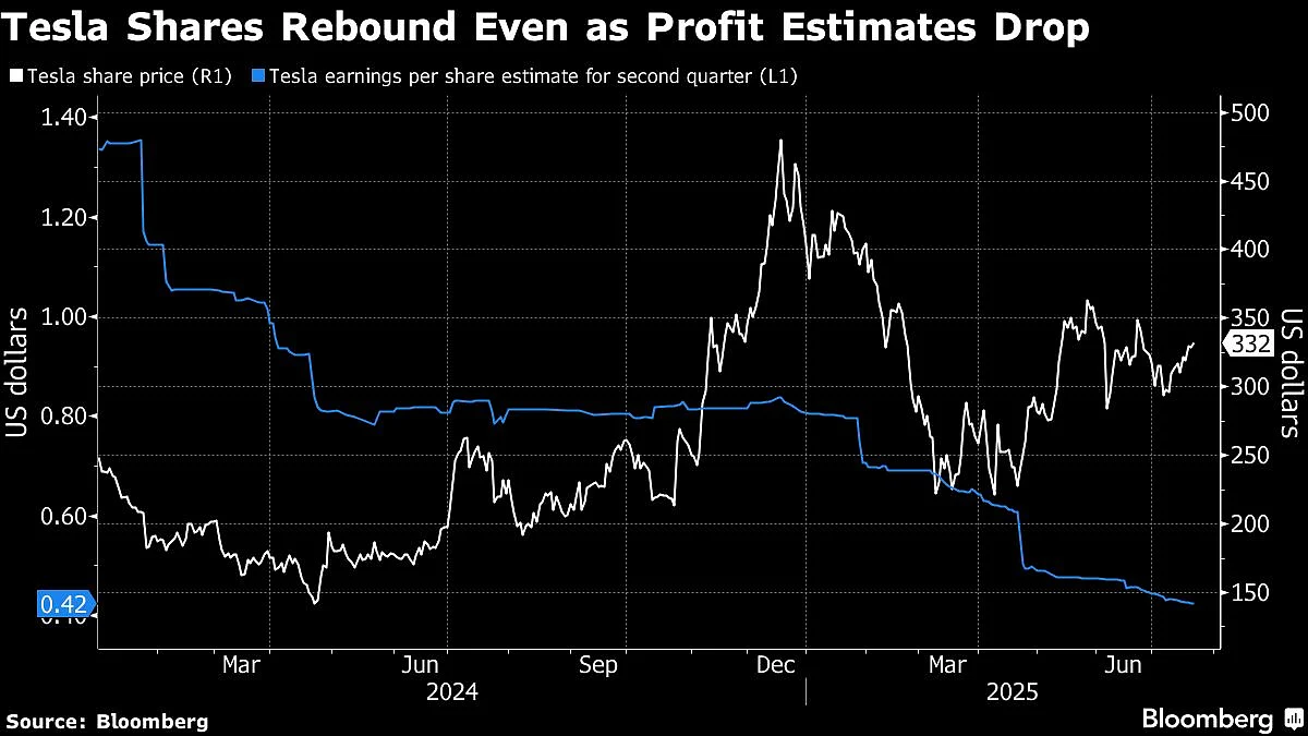 Tesla's Darkening Outlook To Test Robotaxi Vision Pushed By Musk