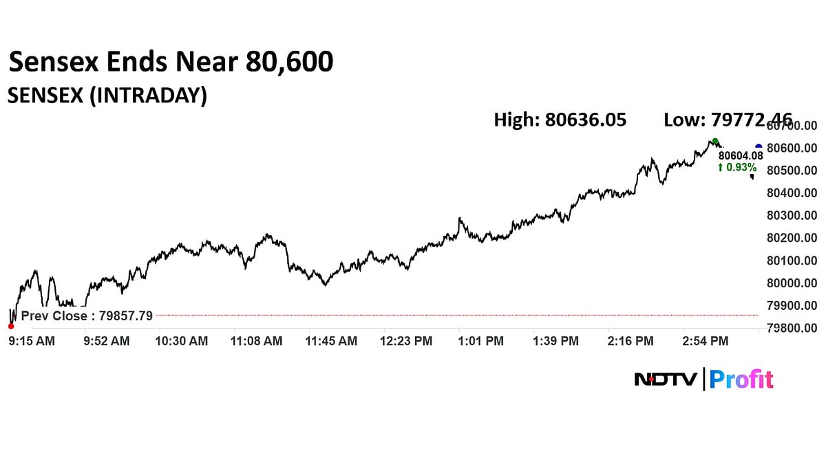 Stock Market Highlights: Nifty, Sensex End With Nearly 1% Gains As HDFC Bank, RIL, SBI Lead