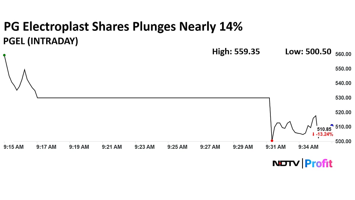 PG Electroplast Shares Plunge Nearly 15% As Q1 Net Profit Declines 20%