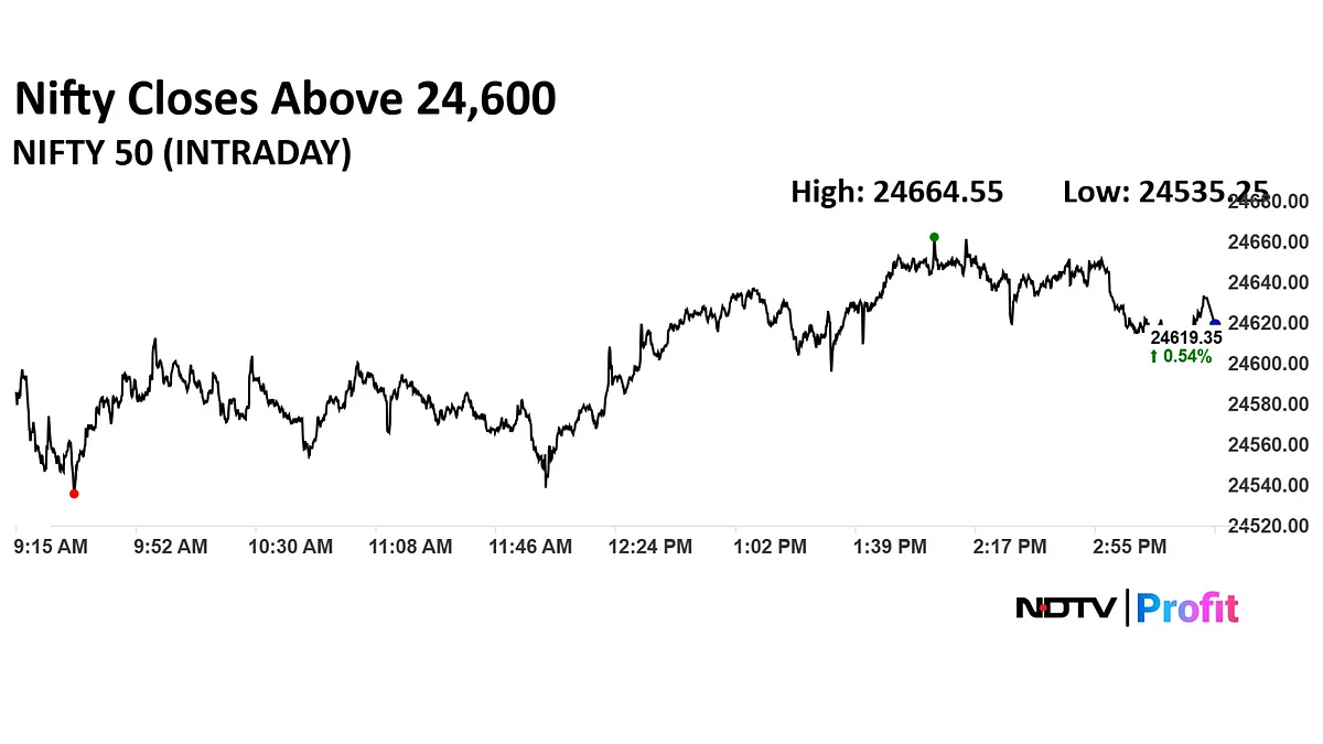 Stock Market Highlights: Nifty, Sensex Snap Two-Day Losing Streak; Apollo Hospitals, Hindalco Lead Gains