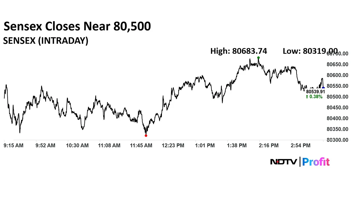 Stock Market Highlights: Nifty, Sensex Snap Two-Day Losing Streak; Apollo Hospitals, Hindalco Lead Gains