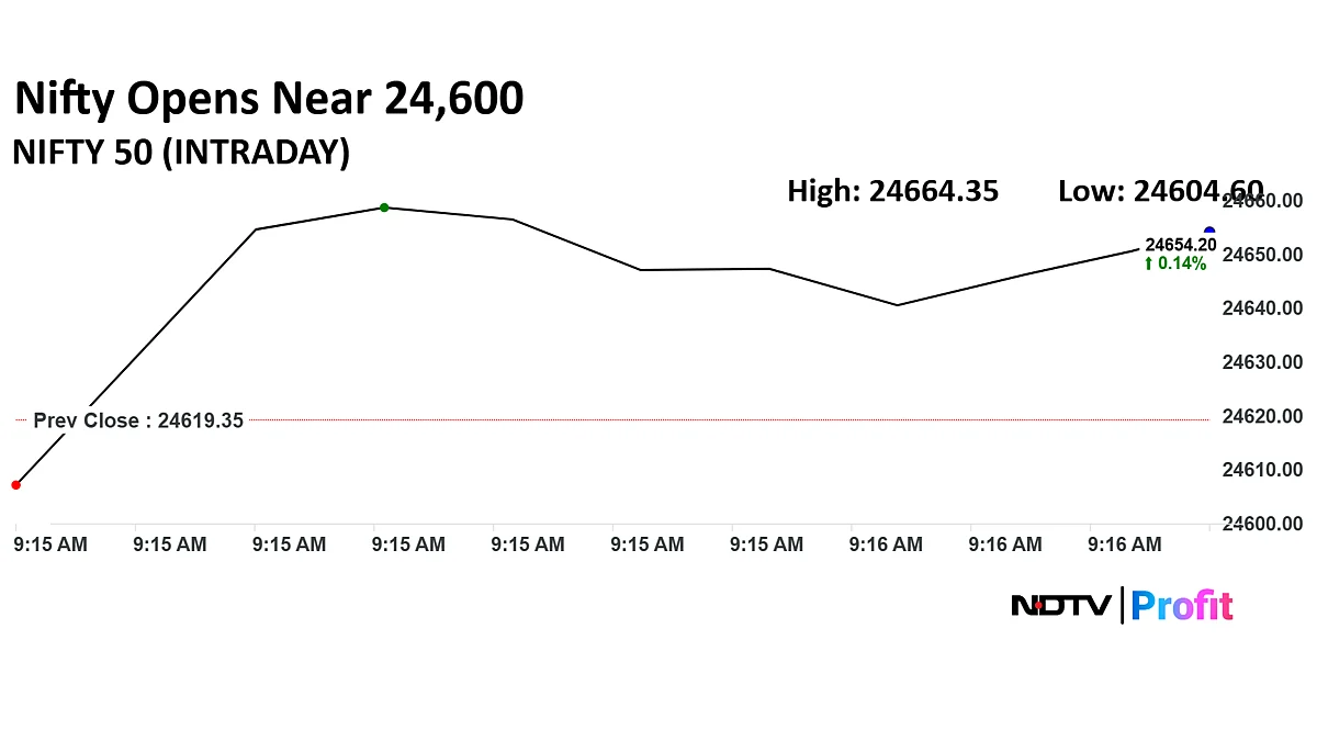 Stock Market LIVE: Nifty, Sensex Open Slightly Higher As Infosys, Airtel Shares Lead