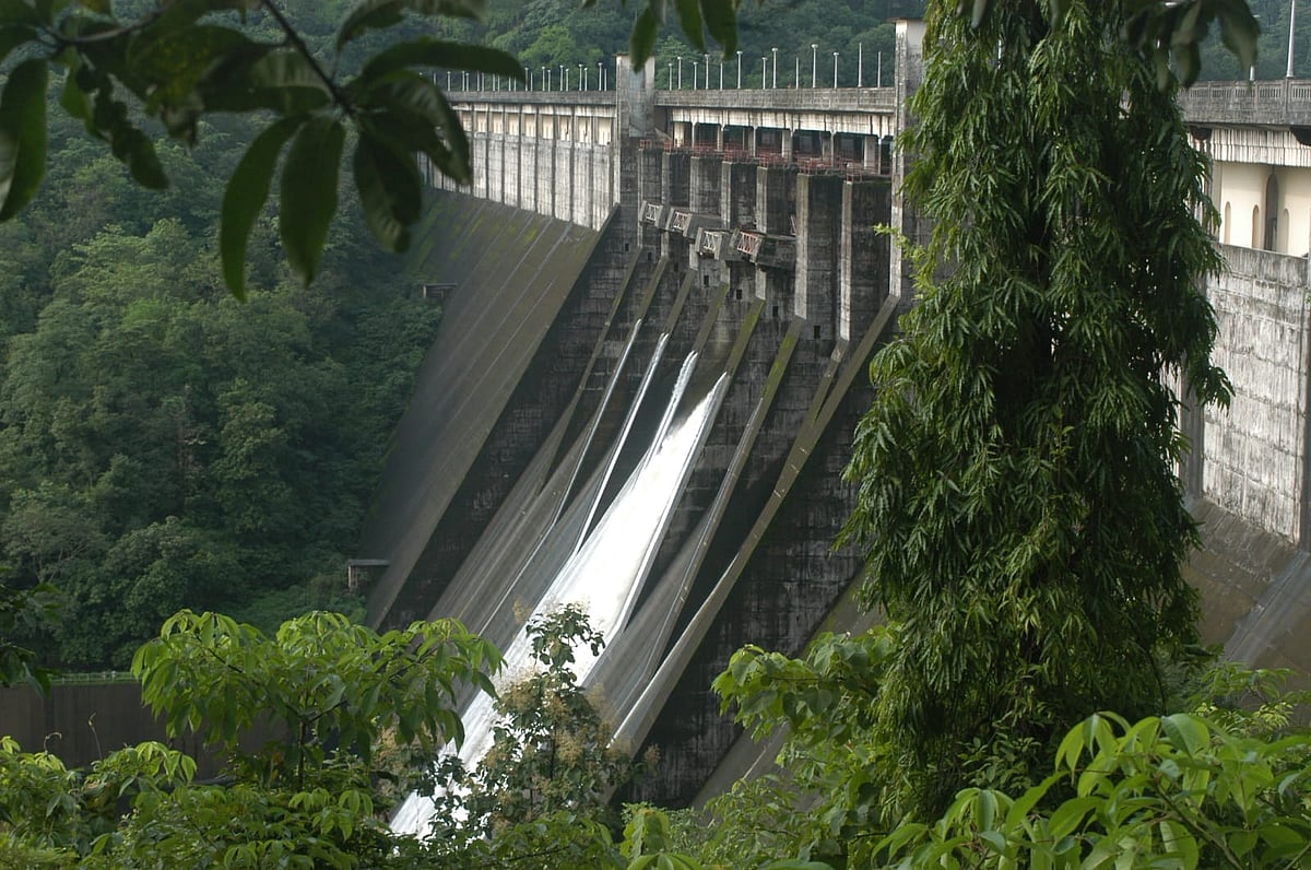 Mumbai Lakes Near Full Capacity, Water Level Surpasses 91% To 13.2 Lakh Million Litres