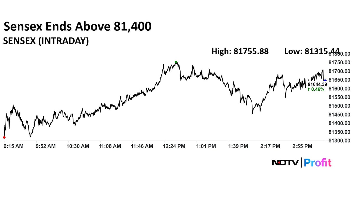Trade Setup For Aug. 20: Nifty Finds Key Support At 24,000–24,200