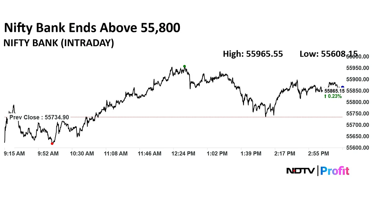 Trade Setup For Aug. 20: Nifty Finds Key Support At 24,000–24,200