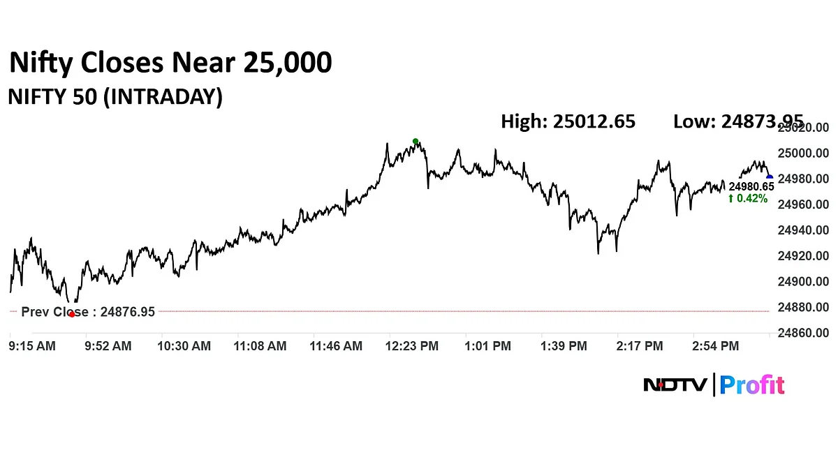 Trade Setup For Aug. 20: Nifty Finds Key Support At 24,000–24,200