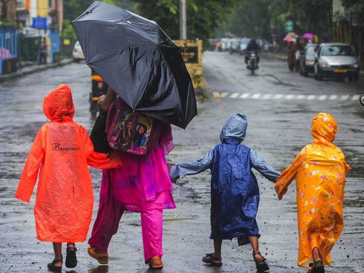 School Holiday On August 20: Are Schools And Colleges Open Or Closed In Mumbai On Wednesday?