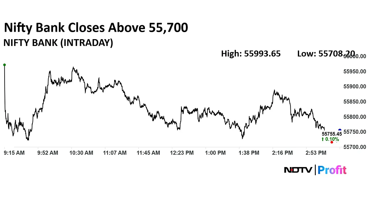 Stock Market Highlights: Nifty, Sensex Log Longest Winning Streak Since April