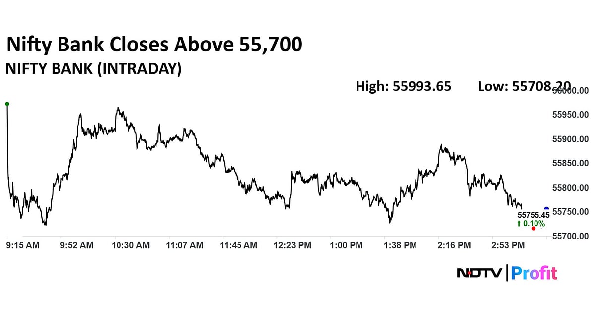 Stock Market Highlights: Nifty, Sensex Log Longest Winning Streak Since April