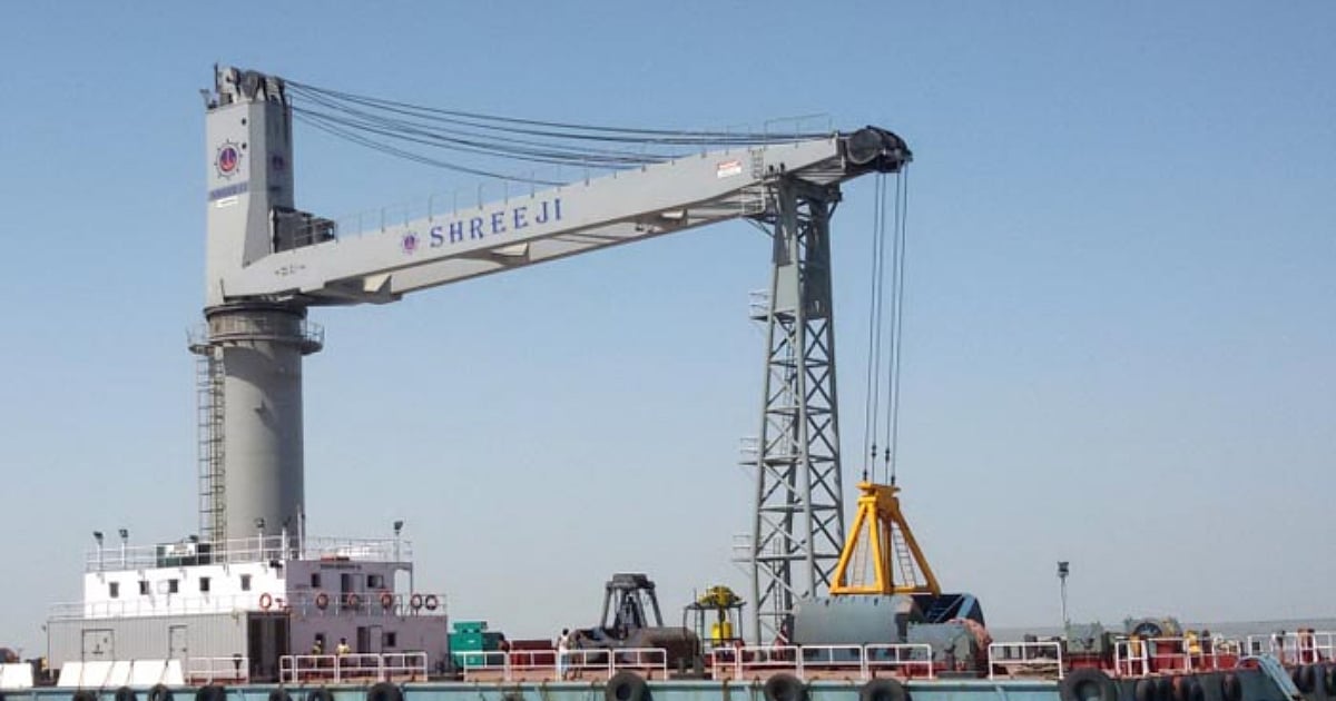 How To Check Shreeji Shipping Global IPO Allotment Status Online — Find Latest GMP, Listing Date