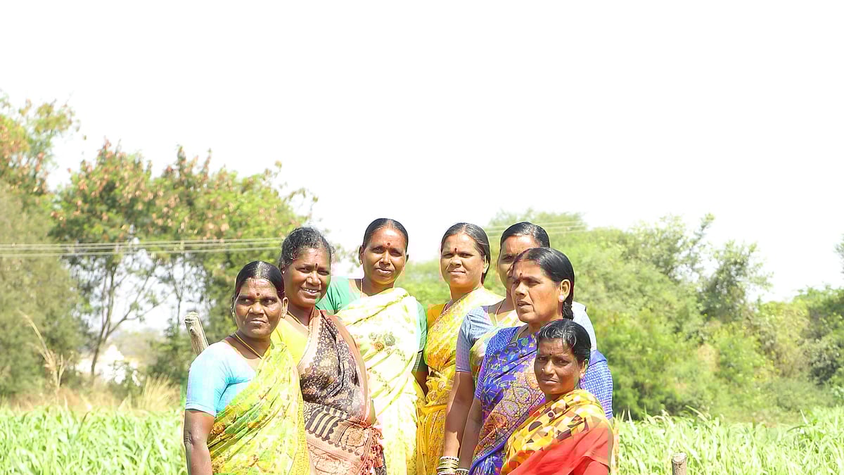 Women's Cooperative Societies To Soon Be Registered, Given Government Contracts: Fadnavis