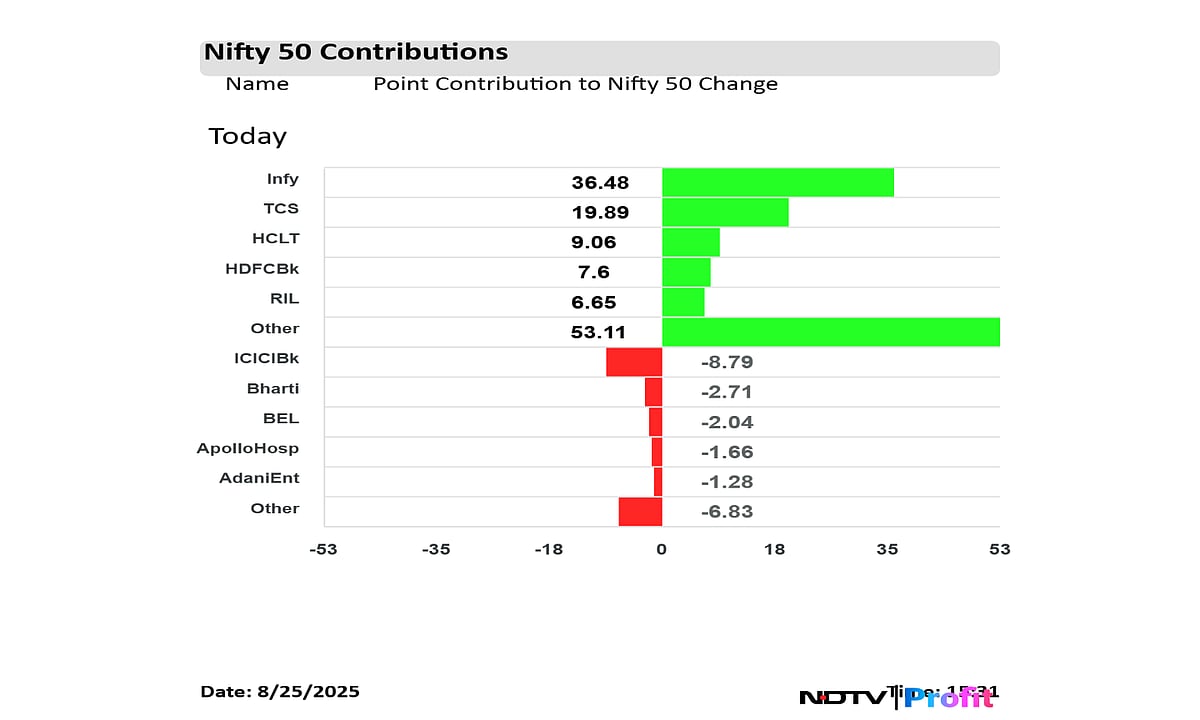 Stock Market Highlights: Nifty, Sensex End In Green After Day Of Decline; Infosys, TCS Lead Gains