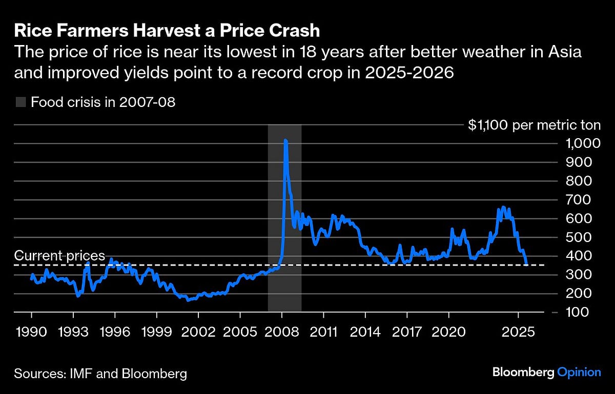 Rice Can Feed The World — Even With Fewer Farmers