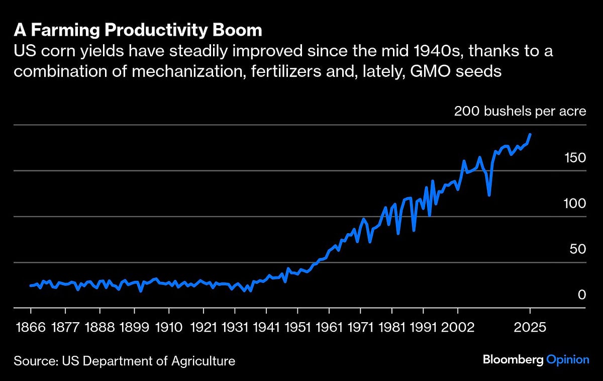 Rice Can Feed The World — Even With Fewer Farmers