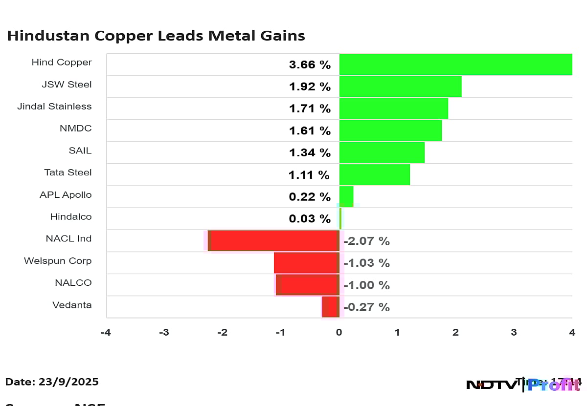 Metal Stocks Glitter As JSW Steel, Tata Steel Hit New Peaks. Can The Shine Last?