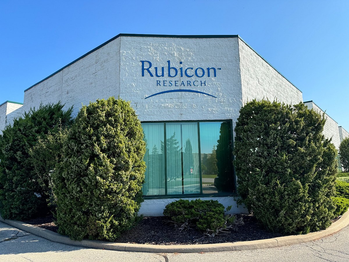 Rubicon Research IPO: Key Details and Market Expectations Ahead of Oct. 9 Launch post image