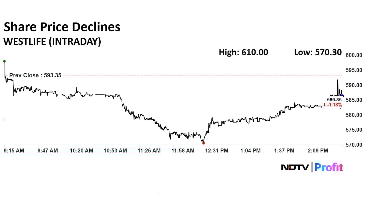 Stock Market Today: Nifty, Sensex End Volatile Session With Modest Gains; Shriram Finance, M&M Key Gainers