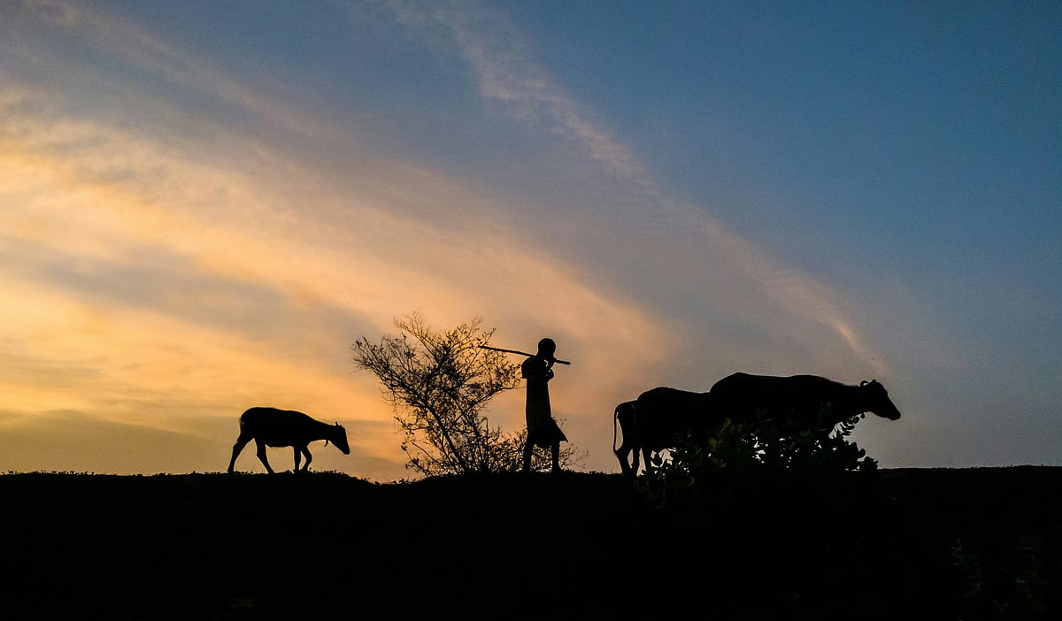 <div class="paragraphs"><p>Bahadurpur Constituency falls under the Darbhanga Lok Sabha Constituency. (Photo: Yashasvi/Pexels)</p></div>