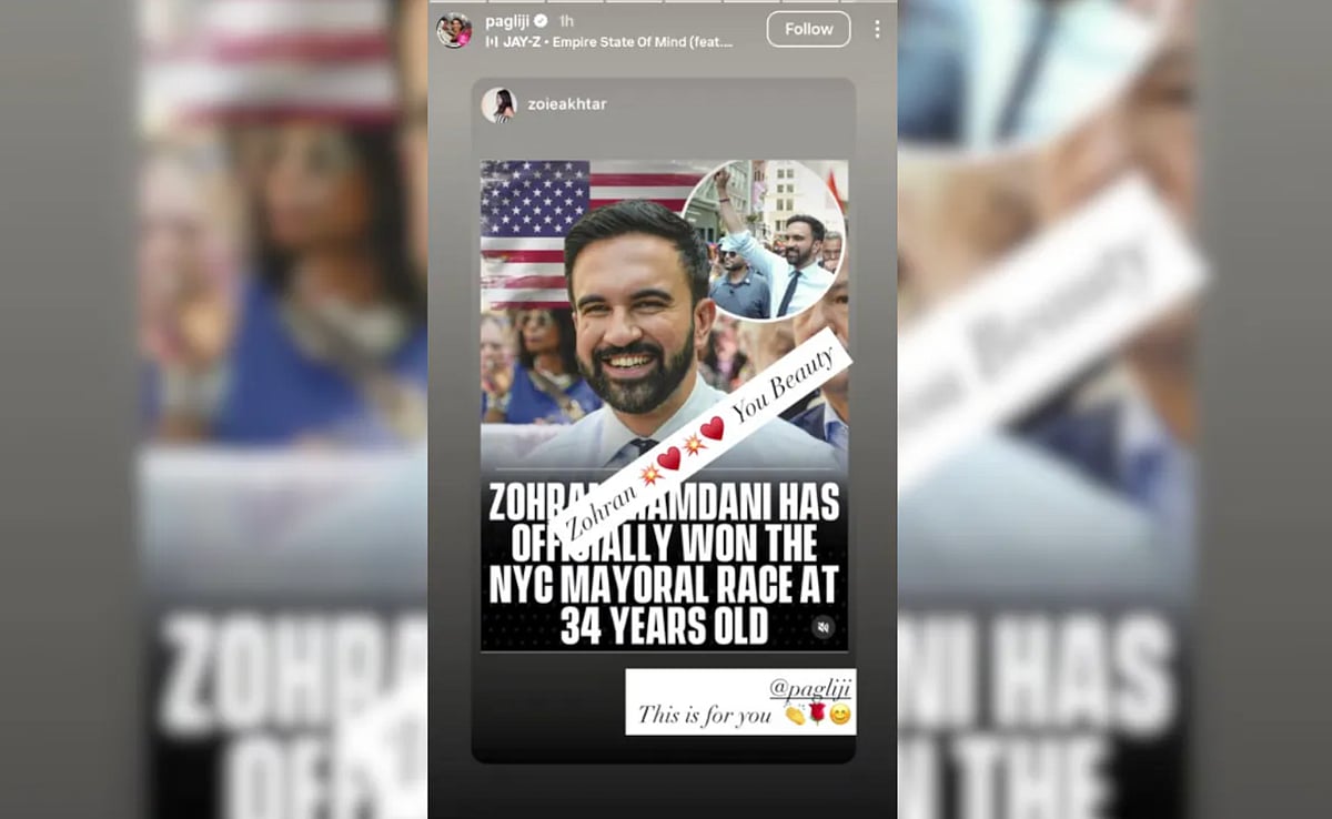 Meet Mira Nair, NYC Mayor-Elect Zohran Mamdani's Mother Who Is A Celebrated Filmmaker