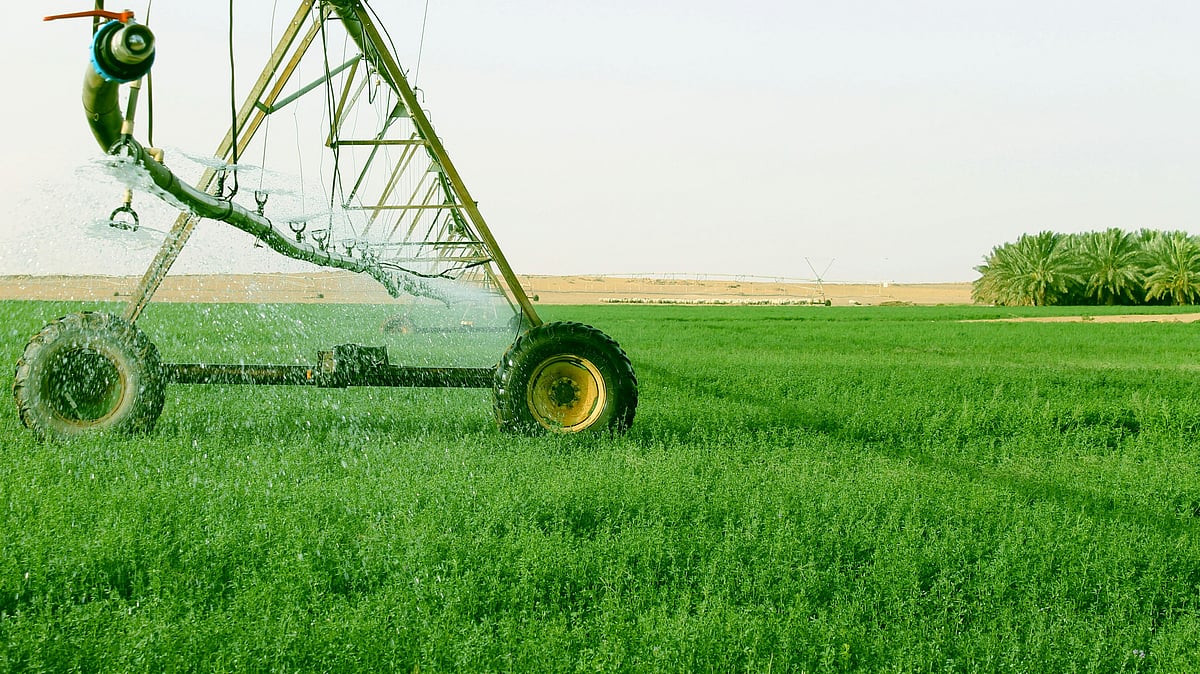 <div class="paragraphs"><p>Pre-Budget Talks: Farm Experts Urge Sitharaman For Crop-Insurance Overhaul, R&amp;D Push (Photo by <a href="https://unsplash.com/@wanyanjr?utm_source=unsplash&amp;utm_medium=referral&amp;utm_content=creditCopyText">Abdulla Dhahri</a> on <a href="https://unsplash.com/photos/black-and-yellow-tractor-on-green-grass-field-during-daytime-qspCBrzC09E?utm_source=unsplash&amp;utm_medium=referral&amp;utm_content=creditCopyText">Unsplash</a>)</p></div>