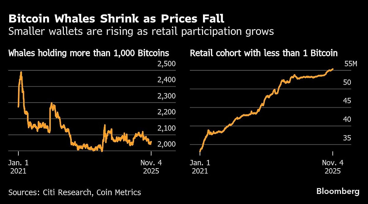 A $25-Billion Bitcoin Bet Is Fraying As Doubt Hits Big Buyers
