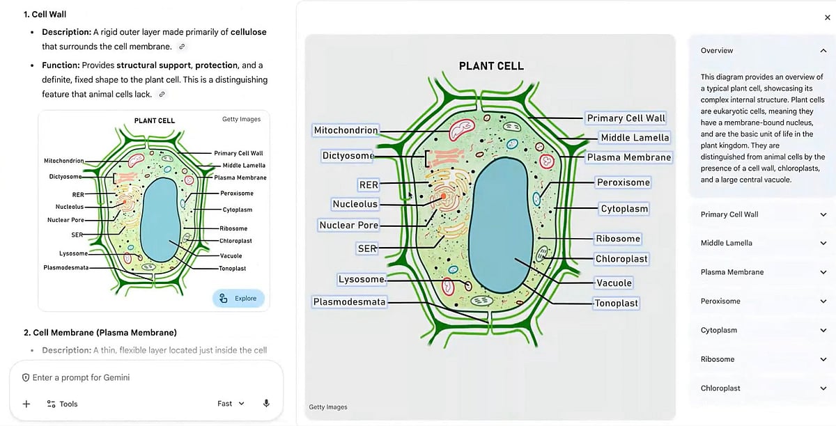 <div class="paragraphs"><p> Gemini is transforming studying from passive viewing into active exploration. (Photo: Google/X)</p></div>