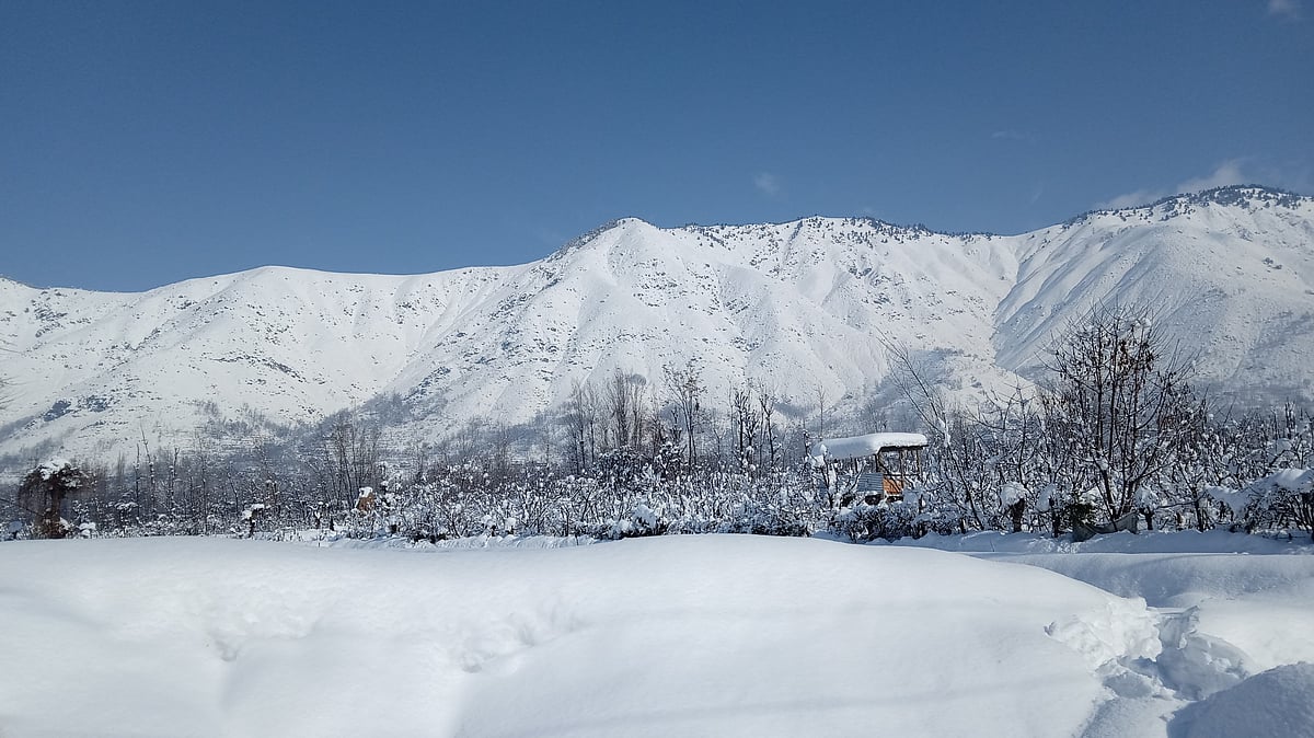 <div class="paragraphs"><p>The western Himalayan region, the foothills of the Himalayas, the northeastern states, and parts of eastern and western India may experience above-normal maximum temperatures. (Photo: Wikimedia Commons)</p></div>