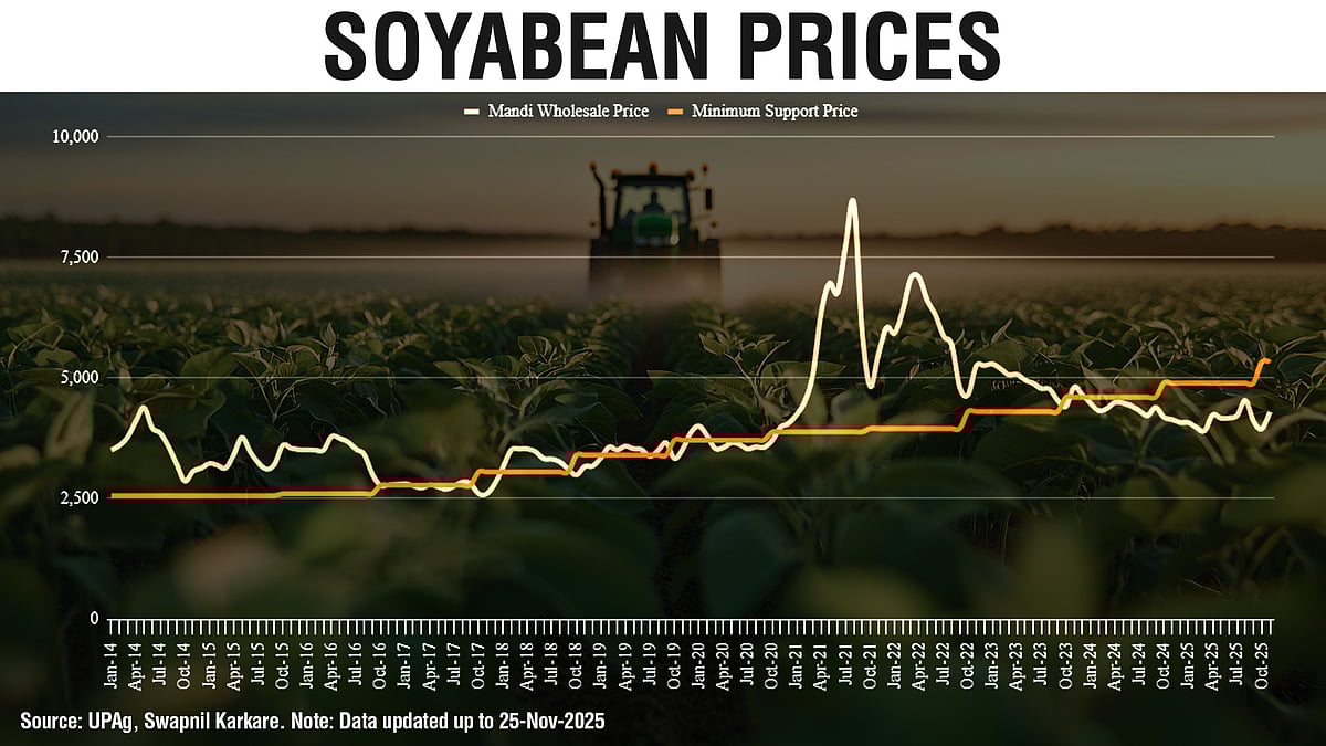 Soybean Policies Need An SRK-Like Coach |The Reason Why