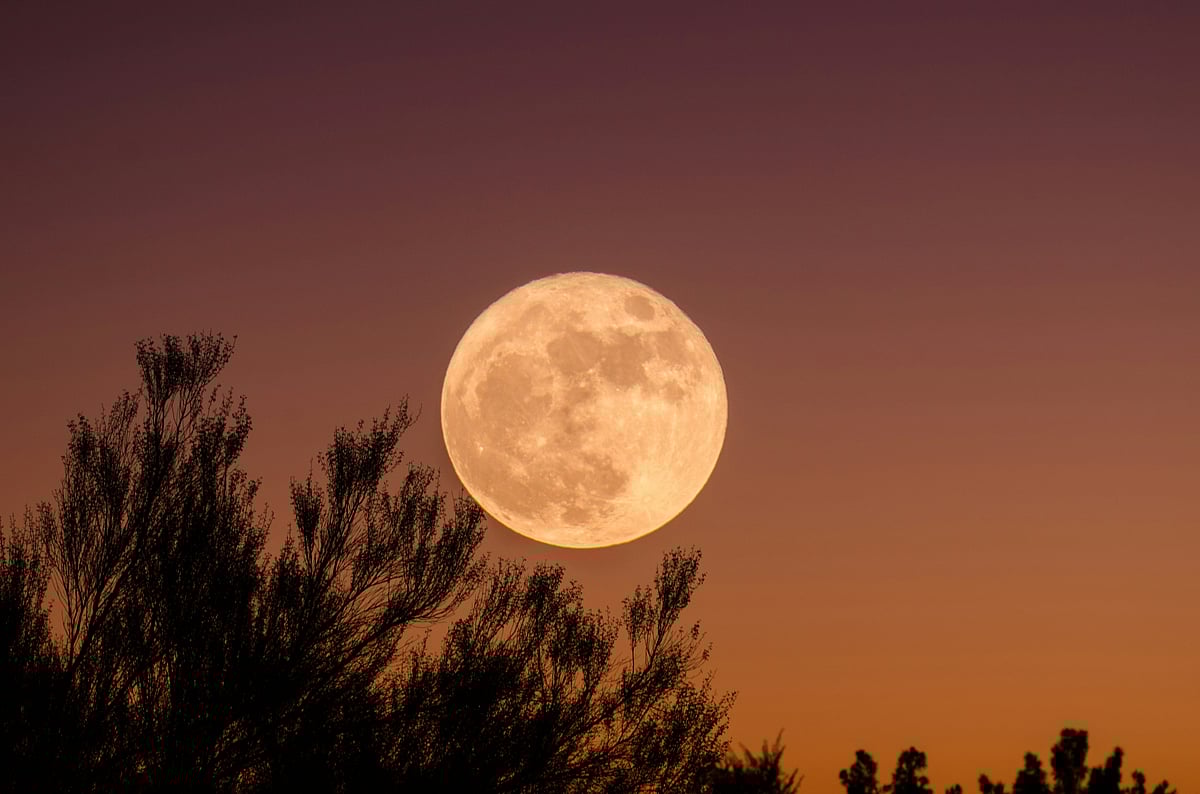December 2025 Cold Moon Supermoon: Date And Time To See Year's Last Full Moon